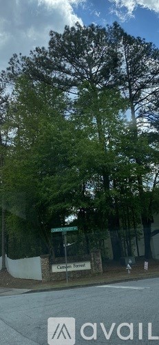 A tree with a sign that says "Campus Forest" in front of it.