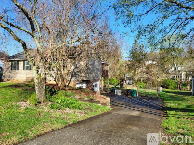 A house with a driveway and a tree in front of it.