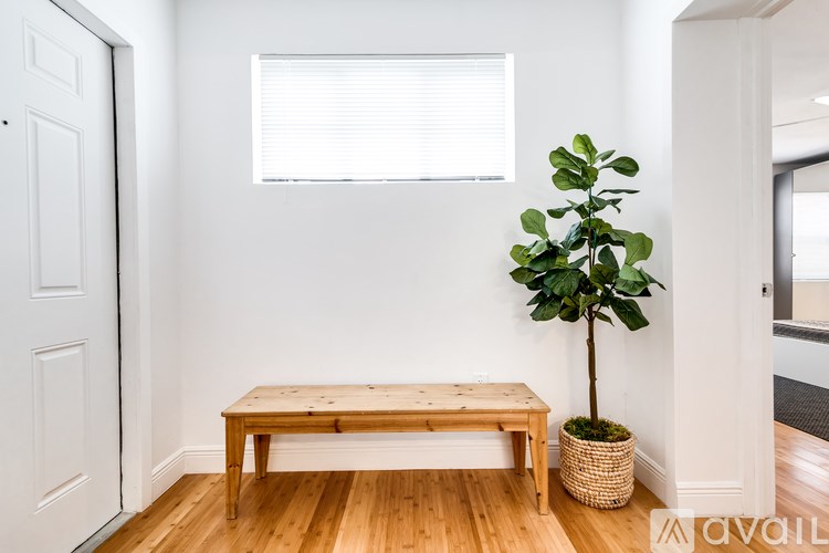 A room with a wooden bench and a potted plant.
