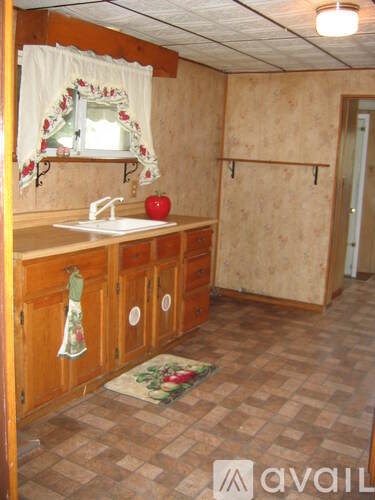 A kitchen with wooden cabinets and a sink.