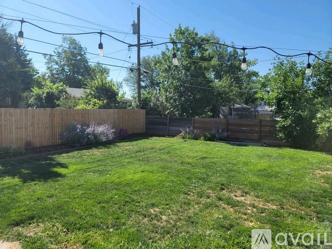 A backyard with a wooden fence and green grass.