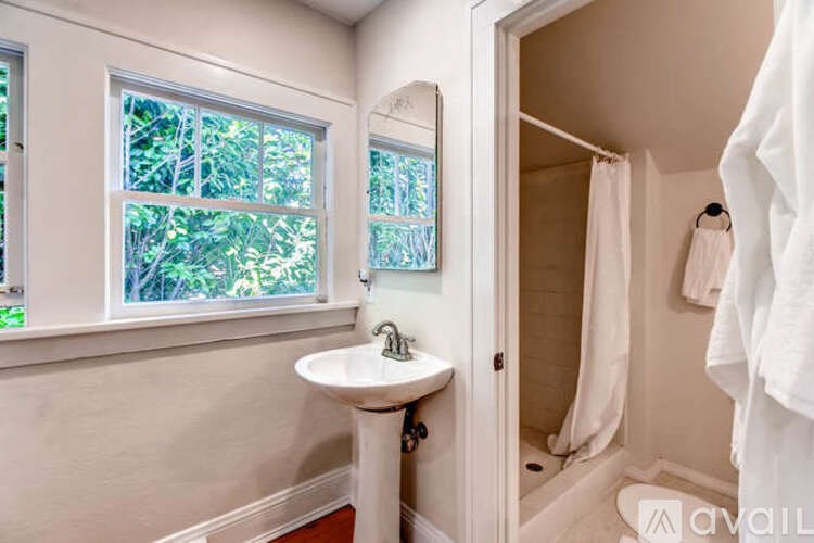 A bathroom with a white sink and a window with trees visible outside.