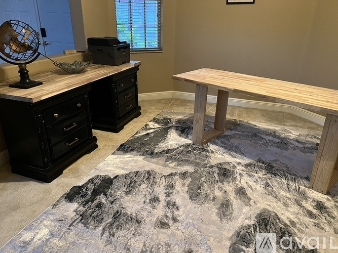 A room with a desk, drawers, and a rug.