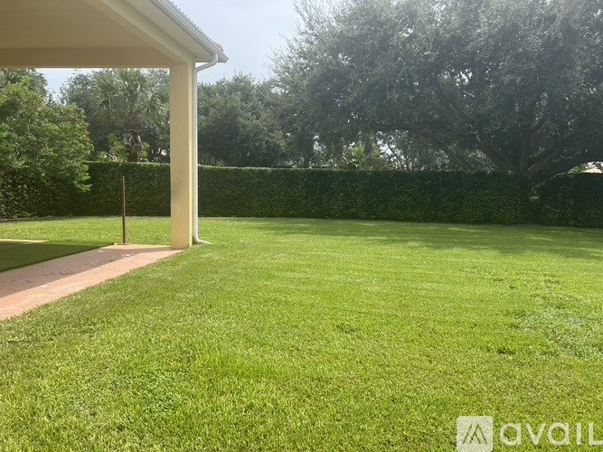 A backyard with a well-maintained lawn and a hedge.