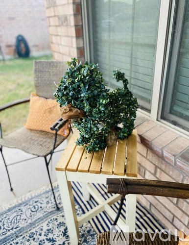 A small green plant sits on a wooden table outside a house.