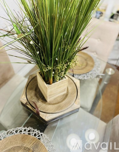 A potted plant with long green leaves sits on a glass table.