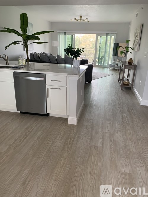 A kitchen with a dishwasher and a plant.