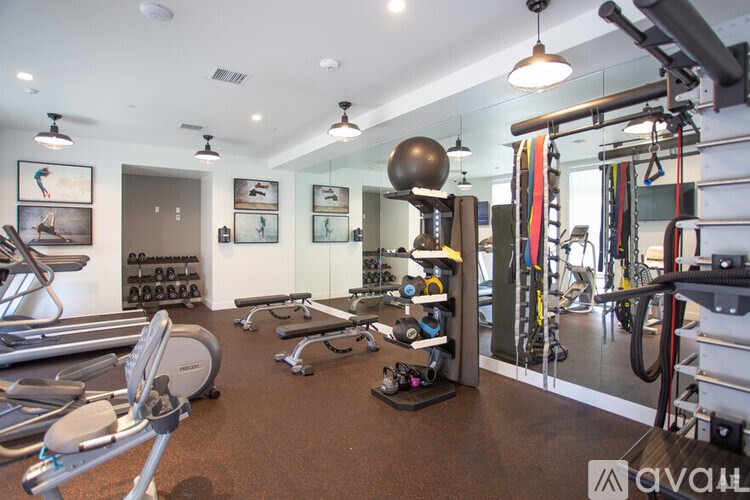 A gym with a variety of equipment including treadmills, weights, and a squat rack.