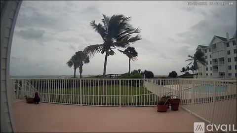 A view from a balcony overlooking a pool and palm trees.