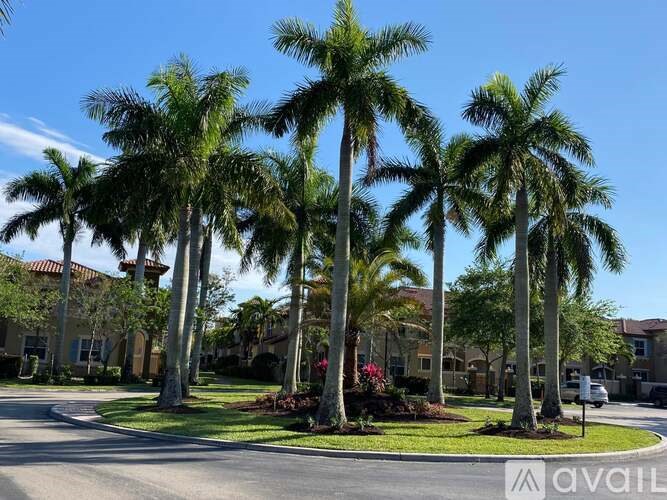 Palm trees in front of a residential area.