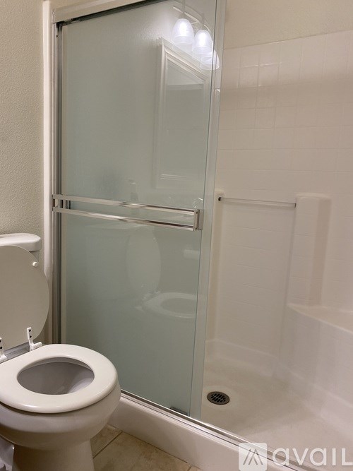 A white toilet sits next to a glass shower door in a bathroom.
