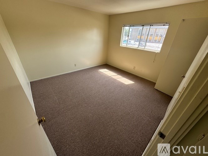 A room with a carpeted floor and a window letting in sunlight.