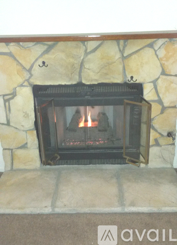A fireplace with a fire burning inside.
