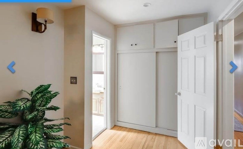 A room with a plant, a lamp, and a white door.