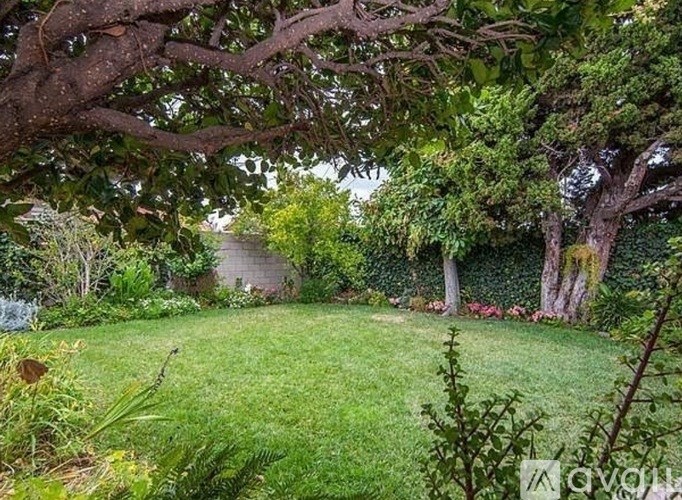 A lush green garden with a variety of plants and trees.