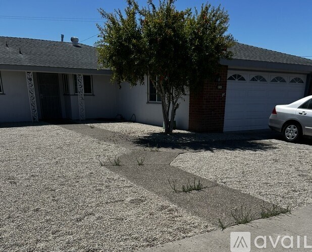 A house with a tree in front and a car parked in the driveway.