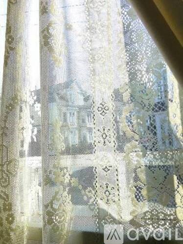 A white lace curtain with a house visible through it.