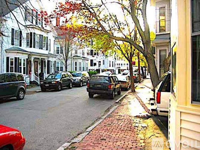 A street with cars parked on the side and trees with autumn leaves.
