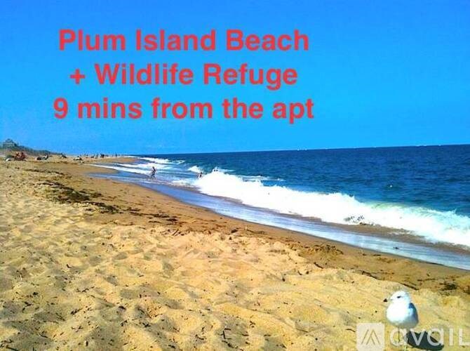A beach with a sign that says Plum Island Beach + Wildlife Refuge 9 mins from the apt.