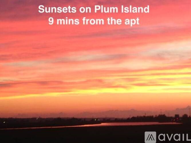 A beautiful sunset view on Plum Island is available for viewing.
