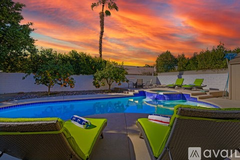 A pool with lounge chairs and a palm tree in the background.