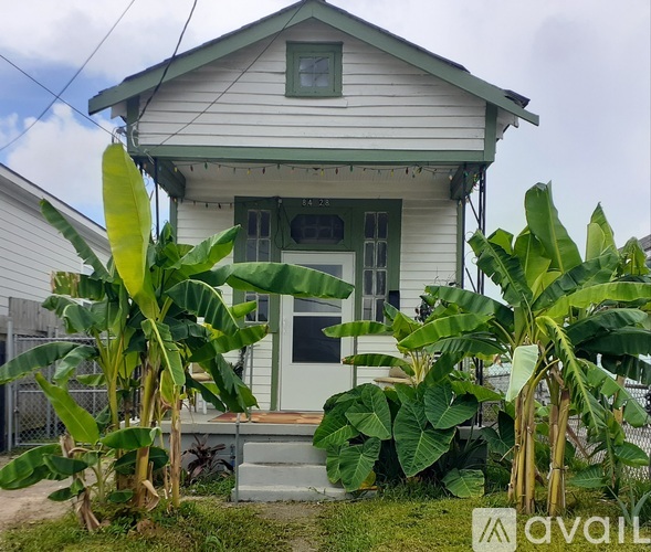 A house with a green lawn and banana trees in front.