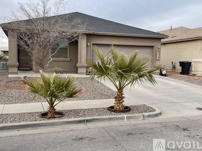 A house with a driveway and two palm trees in front.
