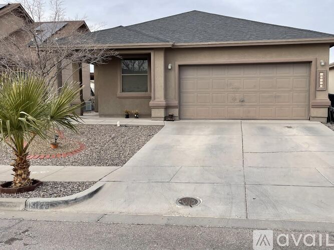 A house with a driveway and a palm tree in front.