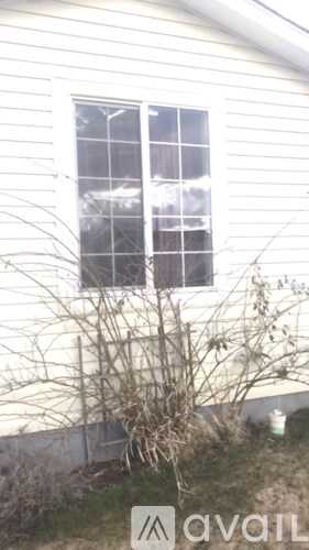 A white house with a window and a bush in front.