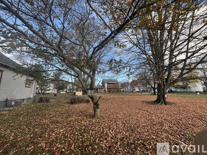 A tree with brown leaves in the foreground and a house in the background.
