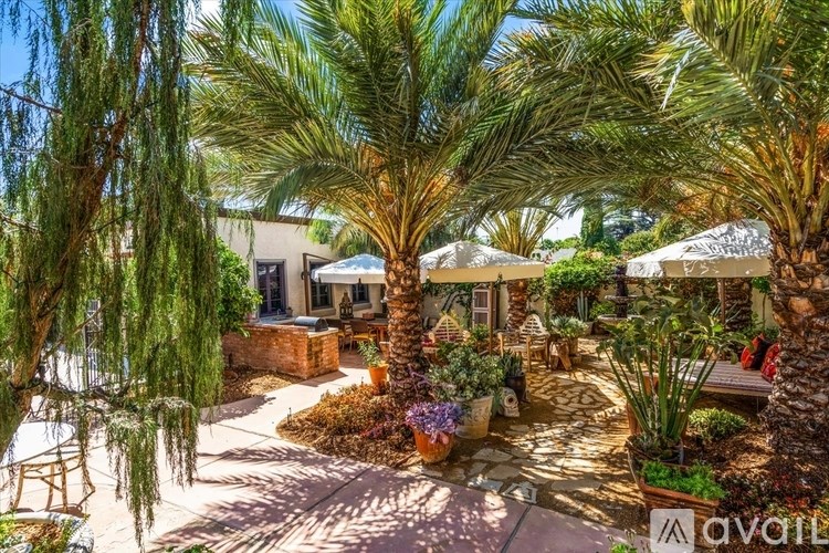 A sunny day at a palm tree filled garden.