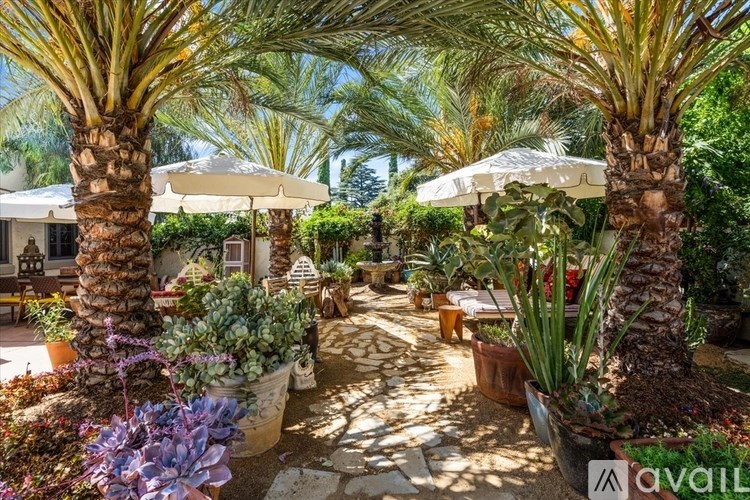 A garden with palm trees and white umbrellas.