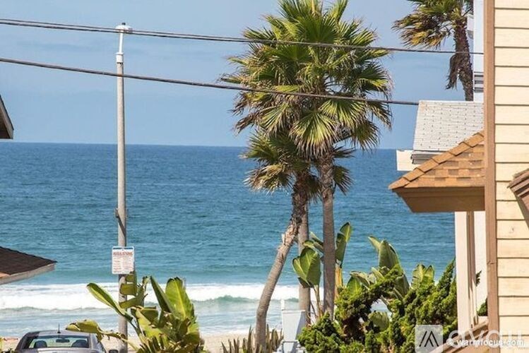 A palm tree stands tall next to a building with a view of the ocean in the background.