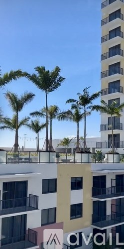 Palm trees in front of a tall building.