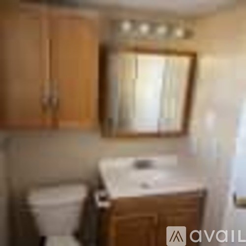 A bathroom with a toilet, sink, and wooden cabinets.