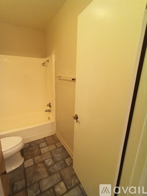 A bathroom with a toilet and a shower.