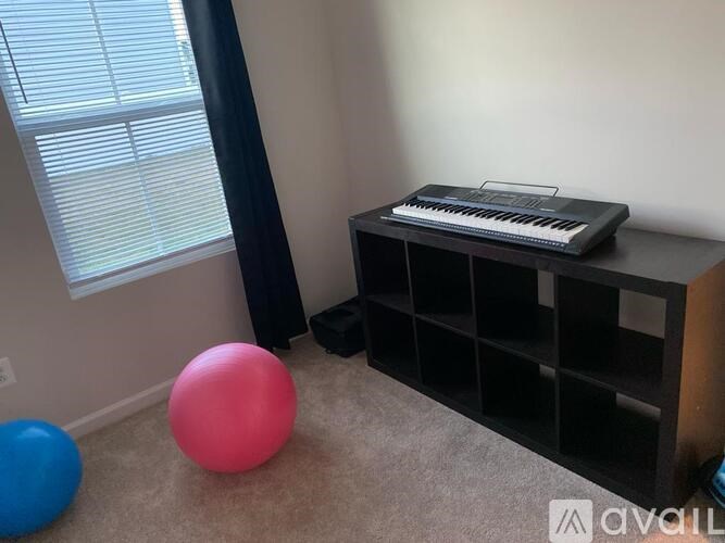 A room with a pink exercise ball, a keyboard on a shelf, and a blue exercise ball.