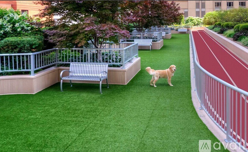 A dog is walking on a green lawn.