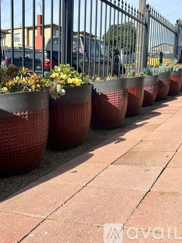 A row of red planters with flowers in them line a sidewalk.