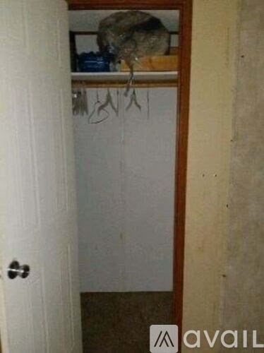 A cat is sitting on a shelf in a room.