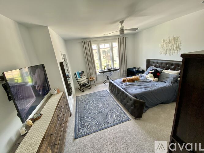 A bedroom with a bed, a television, and a rug.