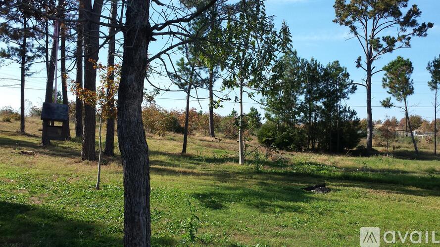 A grassy field with trees and a bird feeder.