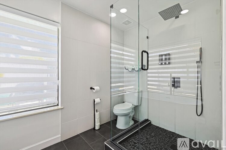 A modern bathroom with a walk-in shower and a toilet.