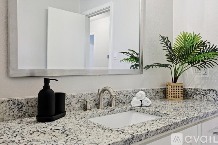 A bathroom sink with a black soap dispenser and a potted plant.