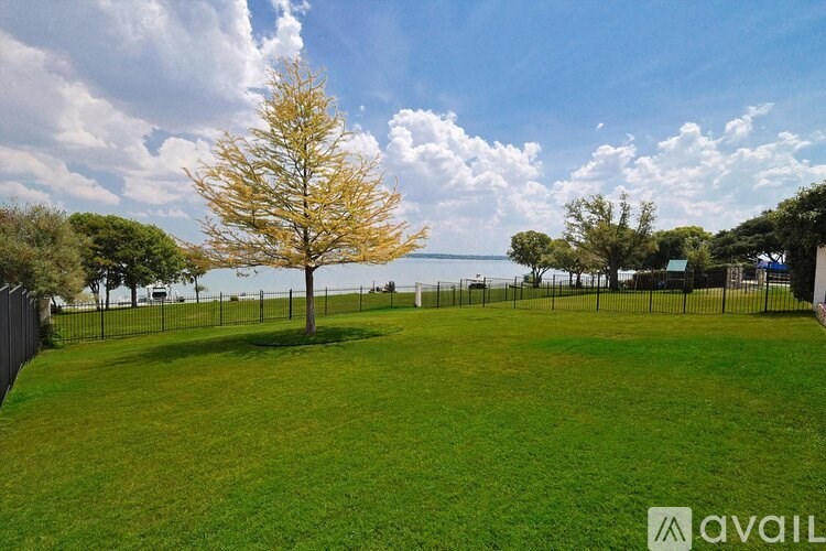 A tree with yellow leaves stands in a green field.