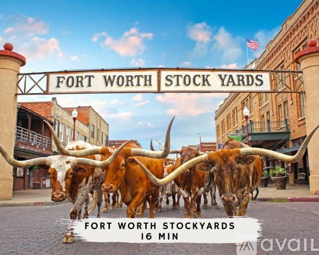 A herd of long-horn cattle are walking under a sign that says Fort Worth Stock Yards.