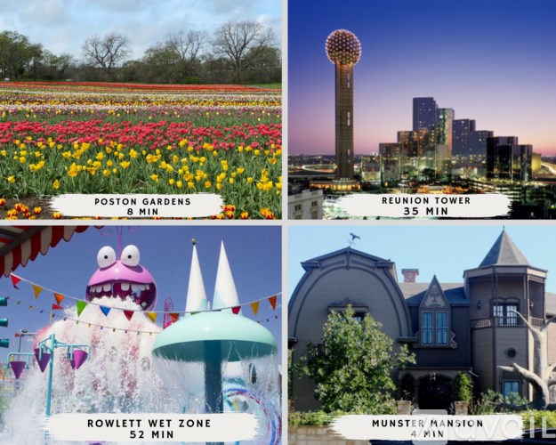 A collage of four images showing different attractions with their respective visiting times.