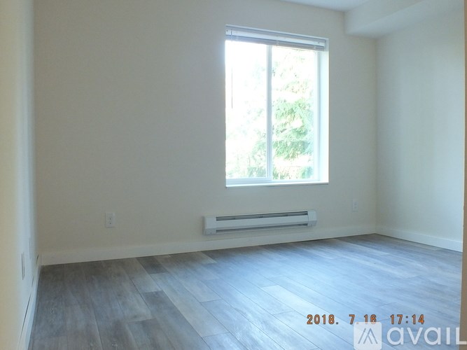 A room with a window and a radiator on the wall.
