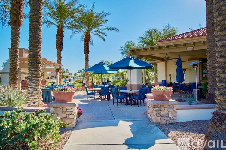 A patio area with tables and chairs under umbrellas surrounded by palm trees.
