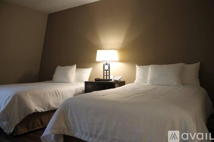Two beds with white bedding and pillows are in a room with brown walls.